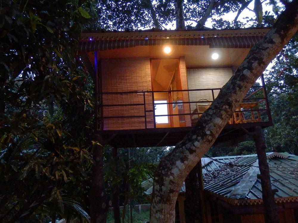 Green Garden Cottage 提喀迪 外观 照片